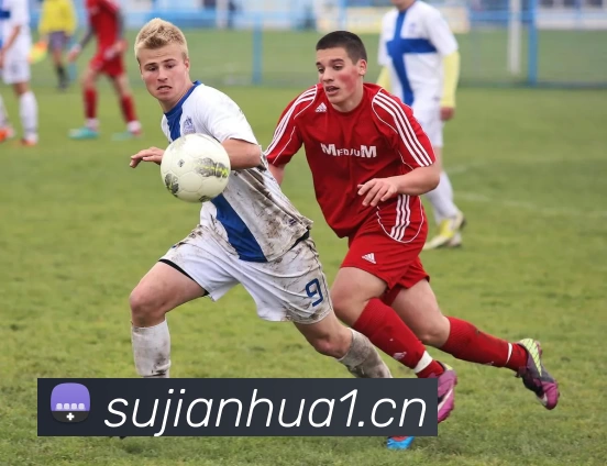 尊龙凯时·人生就是搏(中国区)官方网站平台生态图