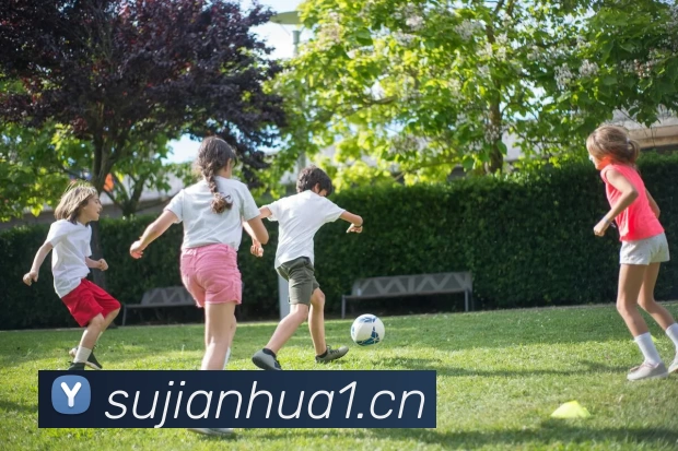 尊龙凯时·人生就是搏(中国区)官方网站APP 封面图